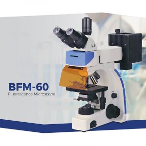 BFM-60 Fluorescence Microscope