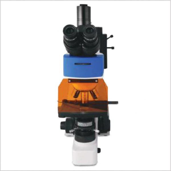BFM-60 Fluorescence Microscope - Image 2