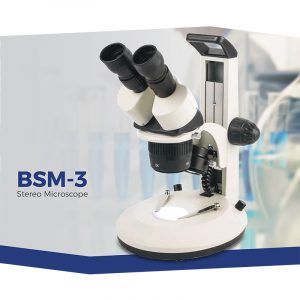 BSM-3 Stereo Microscope