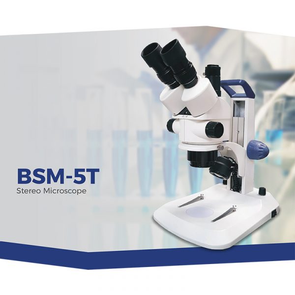 BSM-5T Stereo Microscope