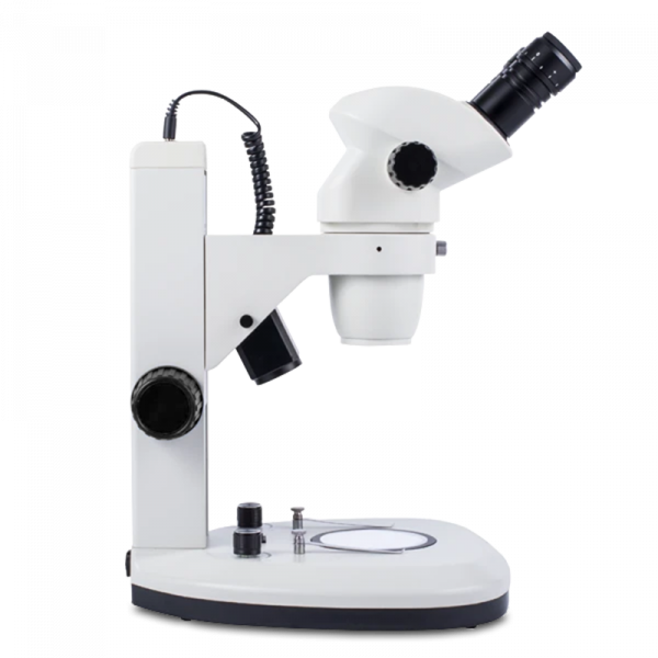 BSM-6 Stereo Microscope - Image 3