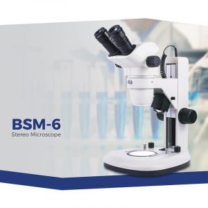 BSM-6 Stereo Microscope