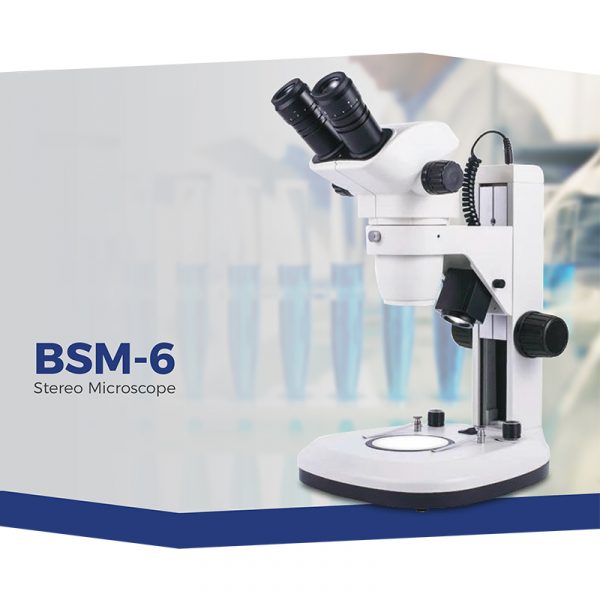 BSM-6 Stereo Microscope